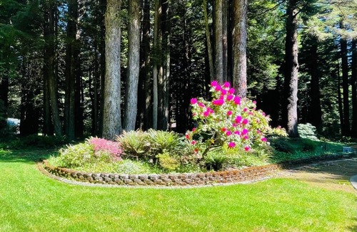 Crescent City House | Stay in your own Redwood Wonderland