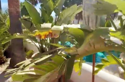 Sant Jordi de Ses Salines Apartment | Stylish Ibiza apartment - 5 minutes to the party, 10 minutes to Eivissa!