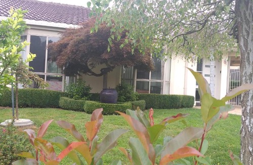 Nicholls House | Sweet Holiday Home by the Golf Course
