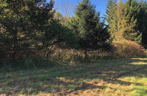 Irving RV Rental | Tentrr Signature Site - Camping in the Pines