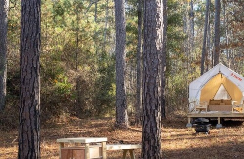 Quitman RV Rental | Tentrr State Park Site - Mississippi Clarkco State Park - Trailside E - Single C