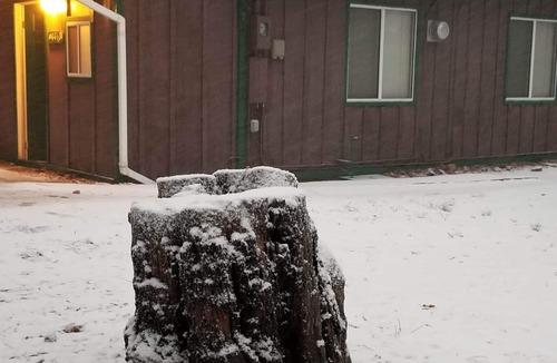 Sugarloaf Cabin | The Bear Escape - Private Cabin among Tall Trees