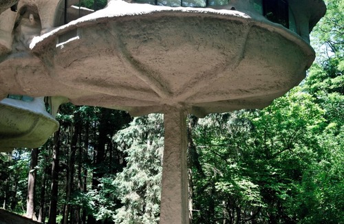 Perinton House | The Mushroom House