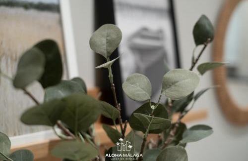 Ensanche Centro Apartment | Urban Soho Collection by Aloha Málaga