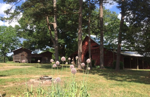 Albemarle RV Rental | Uwharrie Camping Morrow Mountain State Park View Primitive!