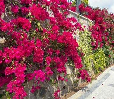 Yalikavak Villa | Villa Falcon with Swimming Pool and Great Views in Yalikavak Bodrum