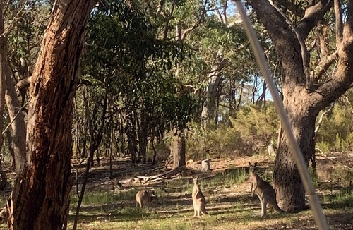 Kimbolton House | Whiskey Island Escape Lake Eppalock