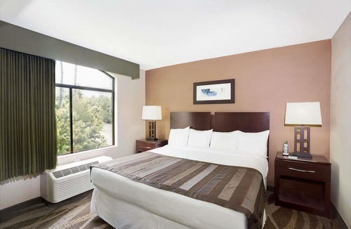 Durham Hotel | Wingate by Wyndham Raleigh Durham / Airport
