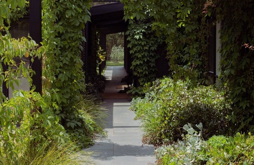 Red Hill South House | Winifred - Heart of the wine region.