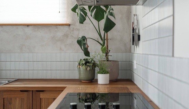 A unique, luxurious, eco-friendly hempcrete home on Bruny Island. Pet friendly!