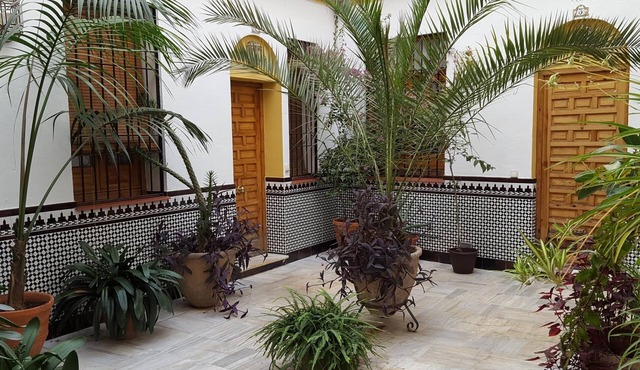Accommodation in typical house of Cordoba