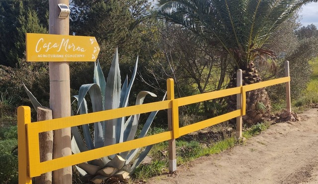Agrotourism Morna - Casa Algarrobo