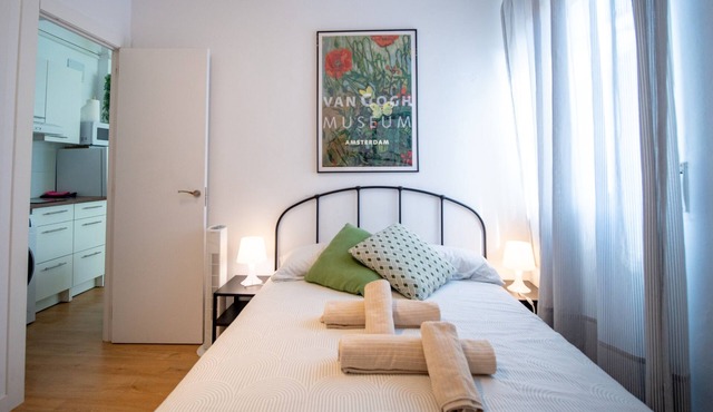 Apartamento Zona Sagrada Familia. Monumental-suit 01