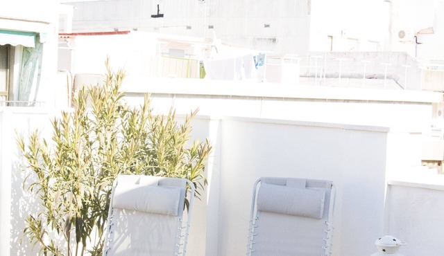 ATTIC WITH SPECIAL TERRACE