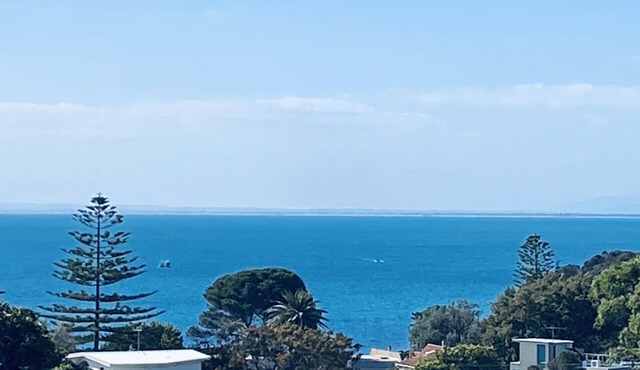 Bay View 2 bedroom Apartment Mornington Main Street