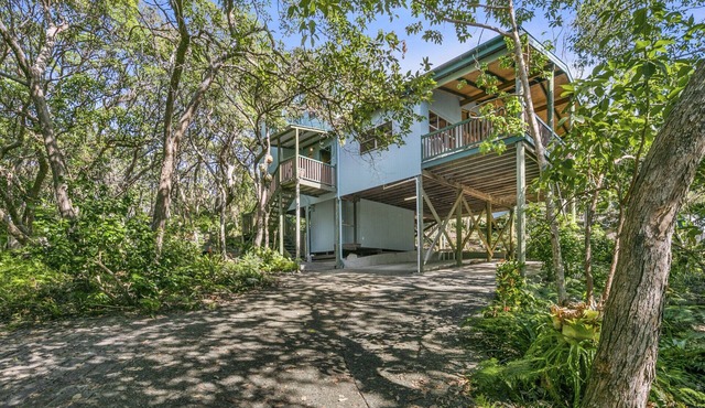 Beach House set amongst the trees and short walk to all amenities.