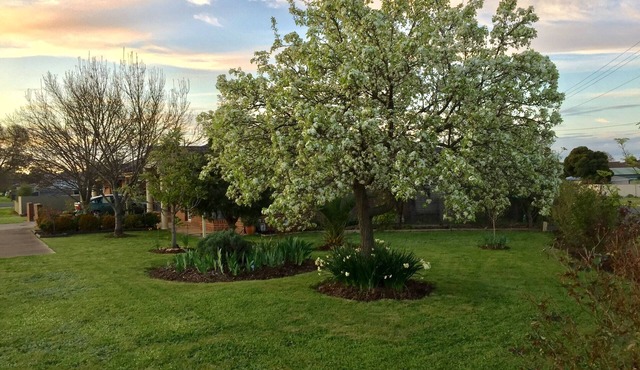 Bird Abode Accommodation in central Maryborough