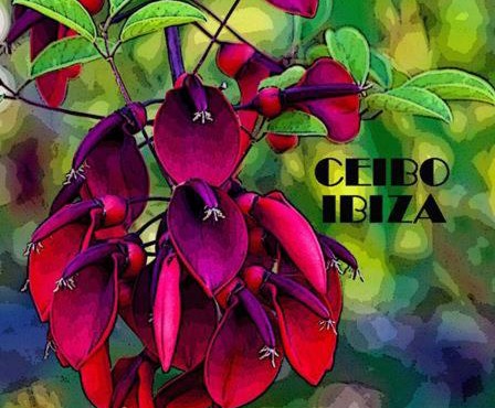 Ceibo Ibiza - Guest House
