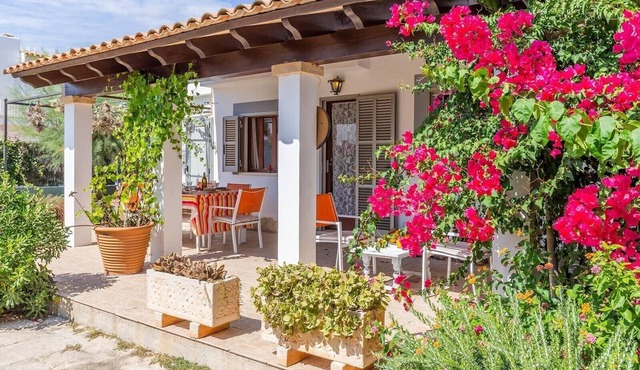 Cottage 50 m From the Beach Up to 4 Guests