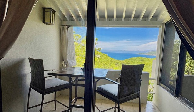 Cozy 1-bedroom condo in lovely St Thomas with AC and back up generator