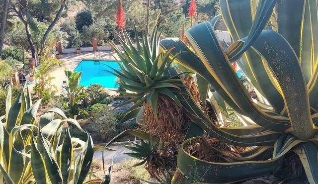 Dona Flor (for adults only) in Premià de Dalt