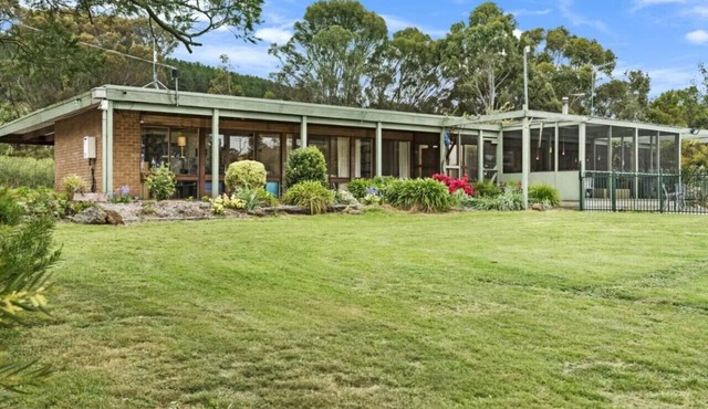Gisborne Peak Winery - Blue Gum Guest House