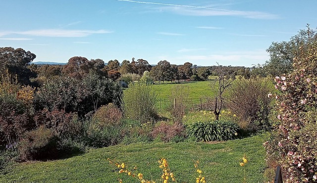 Glenvista 3br house, big garden, mountain views