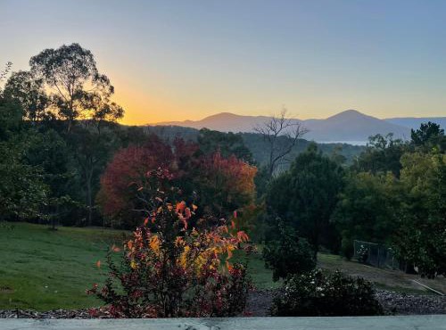 Hillcrest Views Studio