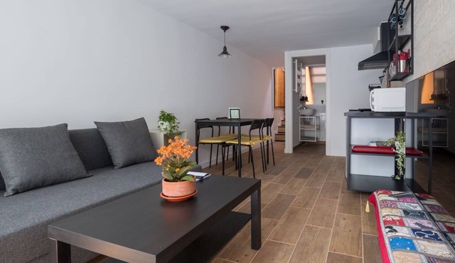 Large independent duplex apartment with terrace