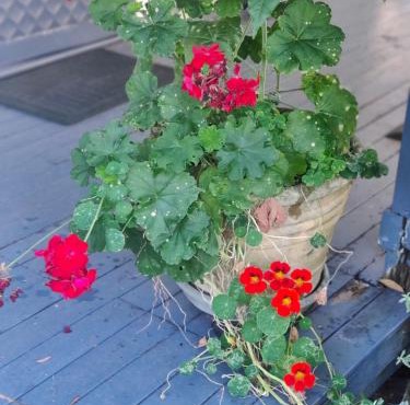 Loretta- a rustic country cottage in Brookfield