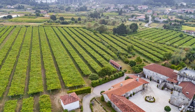 Medieval manor among vineyards for 12 guests. Large gazebo with barbecue and garden