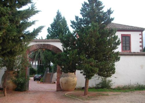 Molino Los Cardenes - 1911