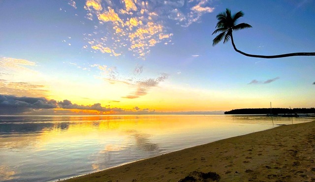MOOREA - Tropical Nest