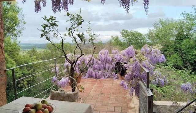 Peace and quiet in the heart of the Empordà.