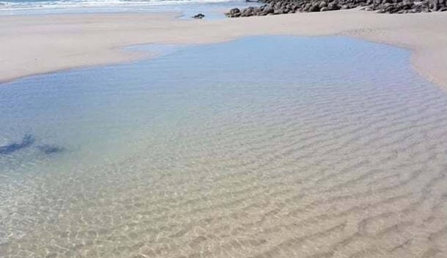 Pet Friendly Coastal Stay Near The Beach.