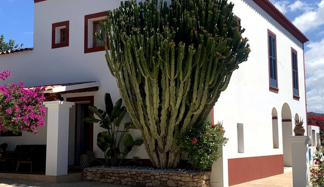 Sant Antoni De Portmany: country holiday home - Ibiza