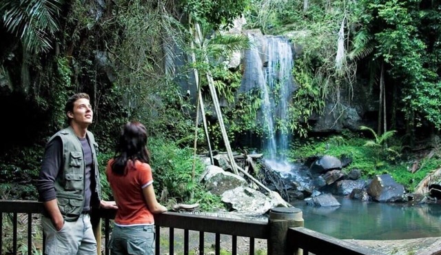 Serene Mountainview Retreat, Tamborine Mountain