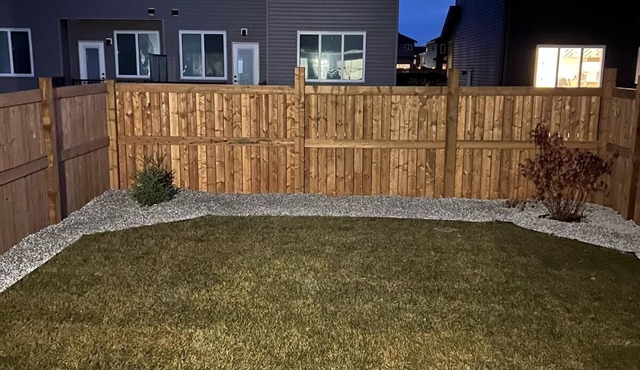 Starling Heaven in Fort Saskatchewan