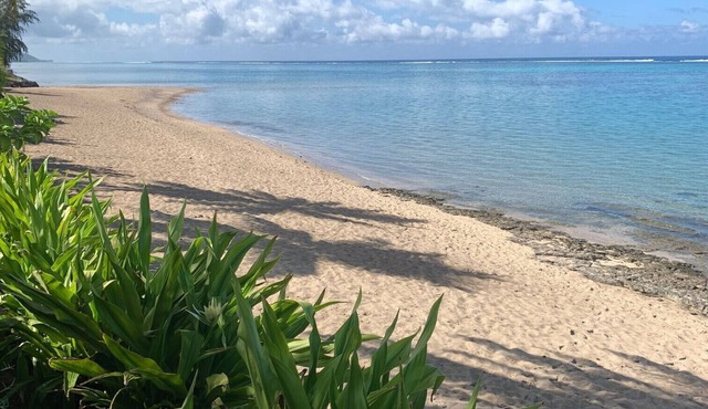 TAHITI - VAIAVA Beach Cottage
