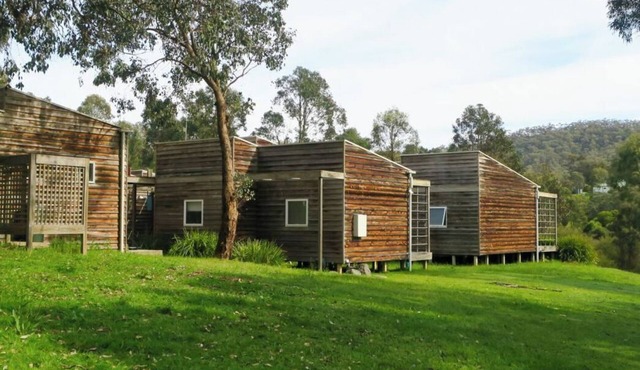 The Cedar house