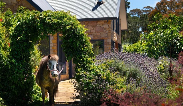 The Fat Pony Lodge Farm stay close to Daylesford