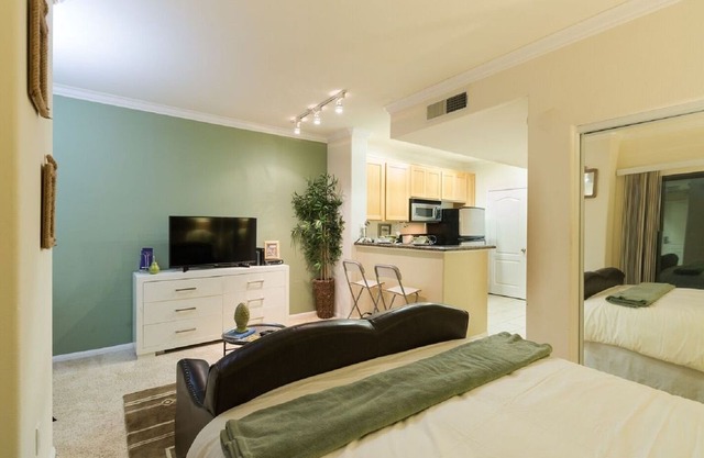 #154165 Luxury Studio Apartment - DTLA view
