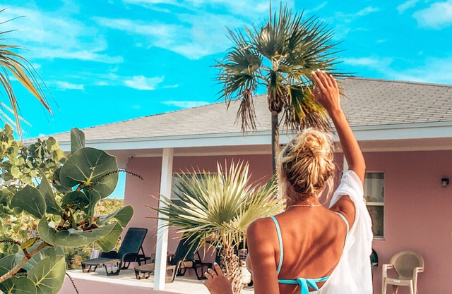 Slice Of Paradise 