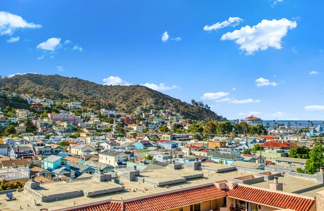 Bahia Vista Avalon 