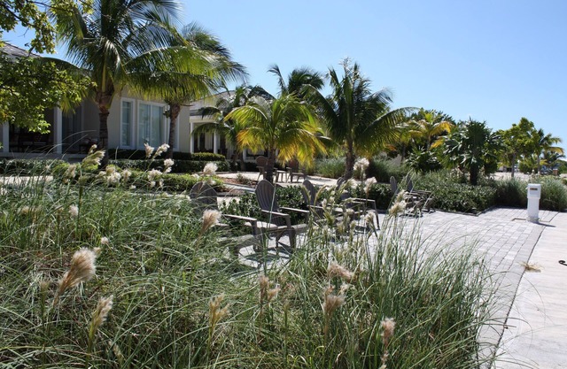 Paradise 