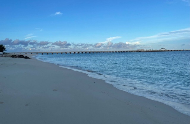 Bimini Bay Resort 