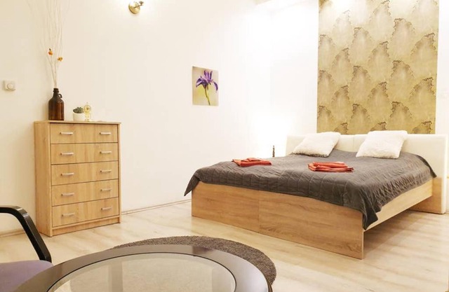 The Blaha One Bedroom Apartment with AC