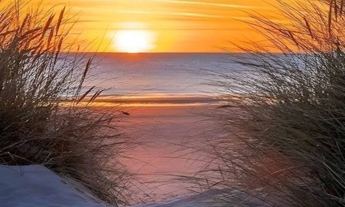Ono Island Apartment | Perdido Sun Resort Unit 0812 BeachFront Beauity Owner Managed