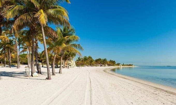 Key Biscayne Apartment | Your Relaxing Getaway Awaits! 2 Modern Rooms, Private Beach Access, Pool Access