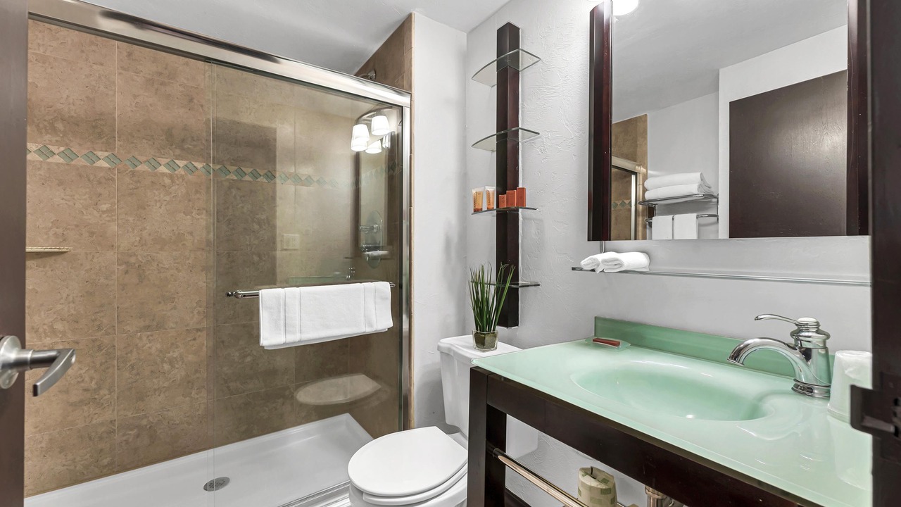Photo of Bathroom in Redevelopment Area